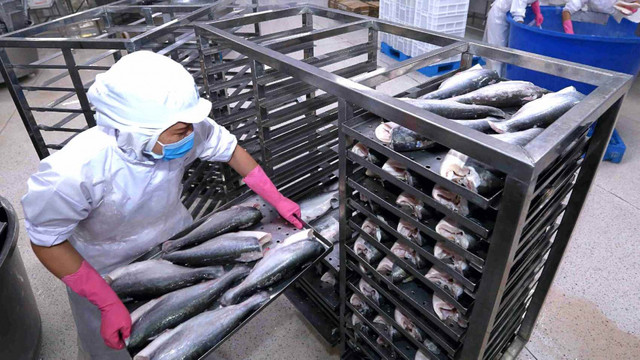 Thuy san Nam Viet (ANV) vua bi Cuc Hai quan An Giang xu phat