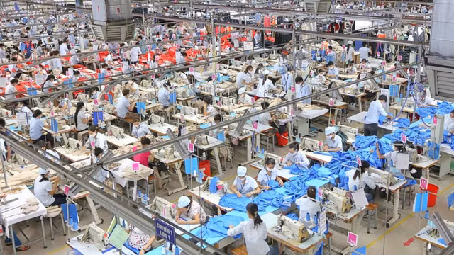 Det may Thanh Cong bao lai thang 2 tang truong 57%