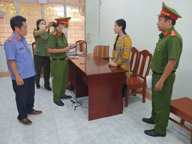 Nguoi dep Tina Duong bi de nghi truy to bao nhieu toi danh?-Hinh-2