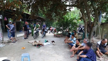 An Giang: Bắt 8 đối tượng liên quan tụ điểm đá gà ăn tiền