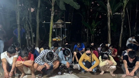Đồng Tháp: Bắt 28 người đánh bạc tại Long Phú Thuận