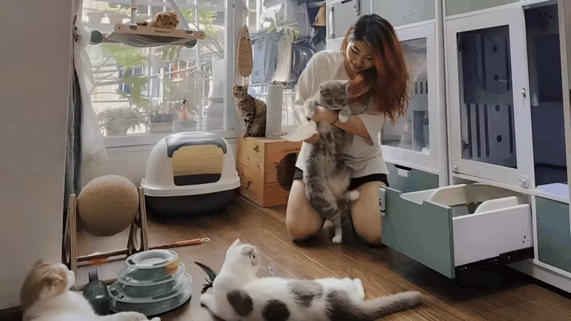 [GALLERY] Nuôi chó mèo thời 4.0, 3 combo công nghệ đáng tiền