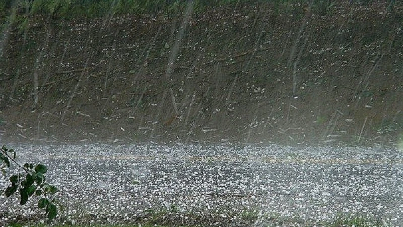 Dự báo thời tiết: Mưa to, gió mạnh và biển động trên diện rộng