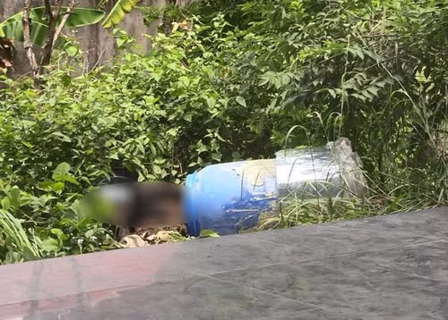 Sáng 19/5, Cơ quan CSĐT Công an tỉnh Bình Dương thông tin đã xác định danh tính 2 nạn nhân bị sát hại, vùi trong bêtông là Trần Đức Linh (quê Nghệ An) và Trần Trí Thành (tạm trú quận Phú Nhuận, TP HCM). Theo lời khai của các nghi can, Linh được cho là đã nhảy từ trên lầu một xuống đất tử vong do thấy "phần quỷ" trong người lấn át. Còn anh Thành, Hà và Thanh đi mua một bình ắc-quy và bộ kích điện về nhà, nói anh Thành đưa tay ra để châm cứu thì nạn nhân bị điện giật bất tỉnh, Hà lấy sợi dây vải siết cổ Thành tới chết rồi khóa cửa phòng ngủ. Aa