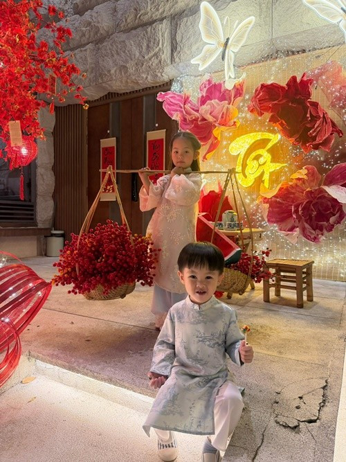 Suchin xuất hiện đáng yêu trong bộ áo dài màu hồng phấn, trên vai là đòn gánh tre với hai thúng hoa quả đỏ, gợi không khí Tết cổ truyền. Trong khi đó, Sutin diện áo dài tông xanh nhã nhặn, nở nụ cười tươi tắn khi tạo dáng trước không gian trang trí Tết tại nhà. Ảnh: FB Đàm Thu Trang.