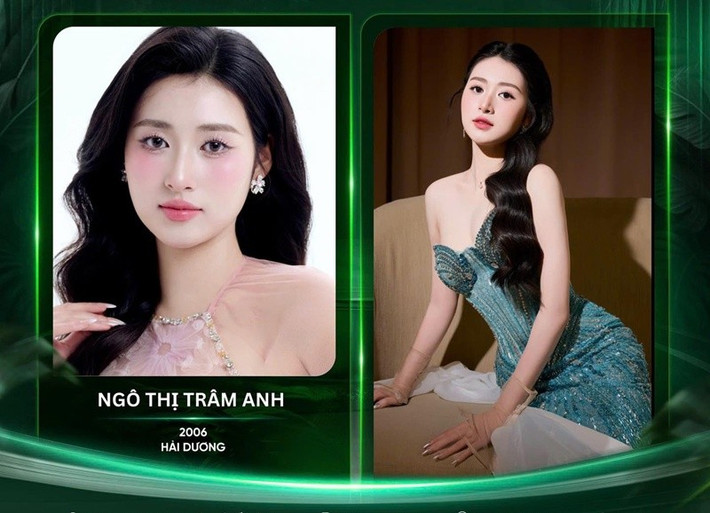 Cô từng giành danh hiệu Hoa khôi Sinh viên thanh lịch 2024. Ảnh: FB Trâm Anh.