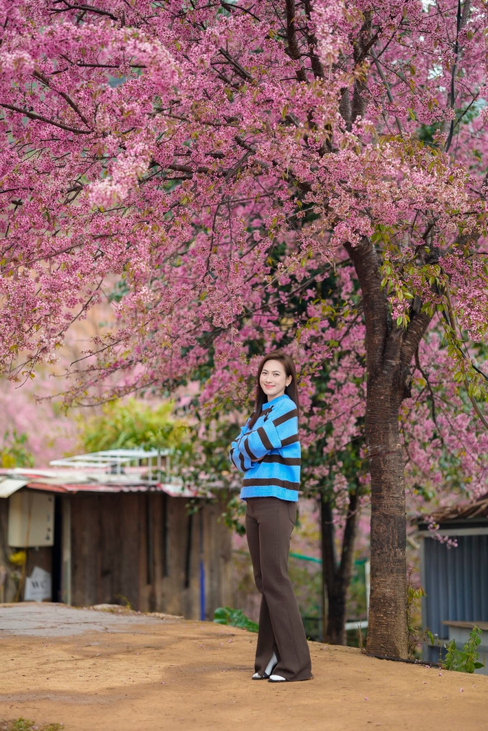 Nữ diễn viên phim Mai thích đi du lịch. Cô từng chia sẻ trên Tiền Phong: "Ở độ tuổi nào, tôi cũng muốn được đi thật nhiều. Những chuyến đi cho tôi được quan sát cuộc sống, thêm vốn sống và cảm hứng sáng tạo". Ảnh: FB Phương Anh Đào.