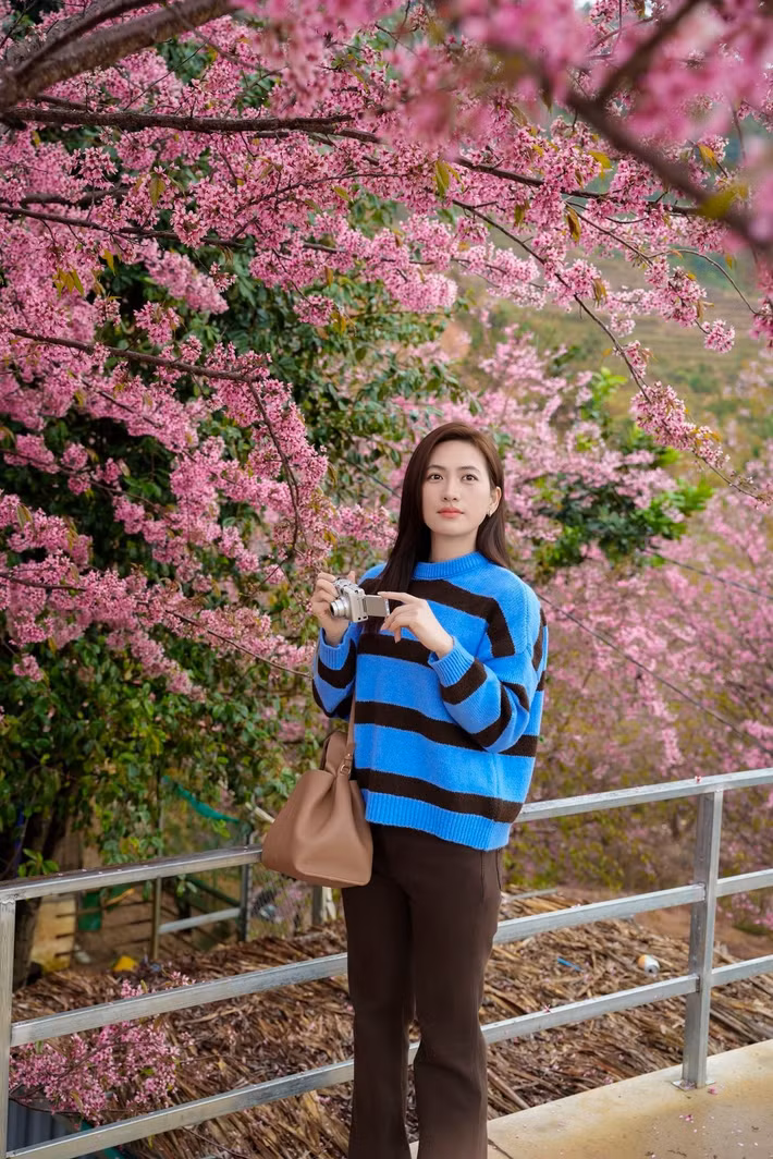 Trên trang cá nhân, người đẹp viết: "Hôm mình đi, chắc cây 'đào' rừng này xum xuê hoa nhất đồi Móng Ngựa. Chuyến đi gần 600km, say đèo Khau Phạ chỉ để đến Mù Căng Chải - Yên Bái thăm lần đầu, thích mê nha". Ảnh: FB Phương Anh Đào.