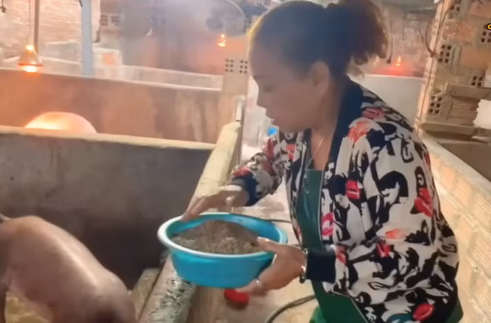 Trước khi nhập viện, trong những năm qua, Siu Black vừa đi hát vừa trồng trọt, chăn nuôi. Khi sức khỏe hạn chế, cô làm một số công việc nhẹ nhàng. Ảnh: FB Siu Black.