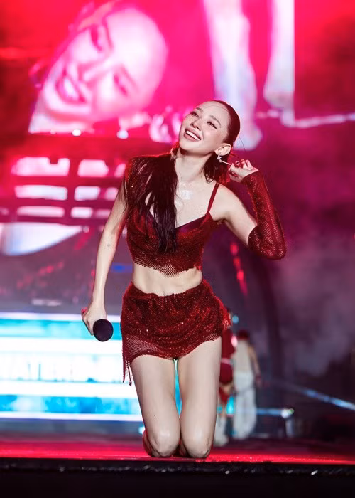 Sở hữu vóc dáng săn chắc, gợi cảm, Tóc Tiên tự tin diện trang phục xuyên thấu, cắt xẻ táo bạo. Ảnh: FB Tóc Tiên.