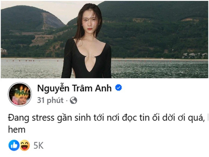Trưa 23/2, trên trang cá nhân Facebook, Trâm Anh viết: “Đang stress gần sinh tới nơi đọc tin ối dời ơi quá”. Động thái của vợ JustaTee được cho là liên quan đến những đồn đoán về hôn nhân. Ảnh: FB Trâm Anh.