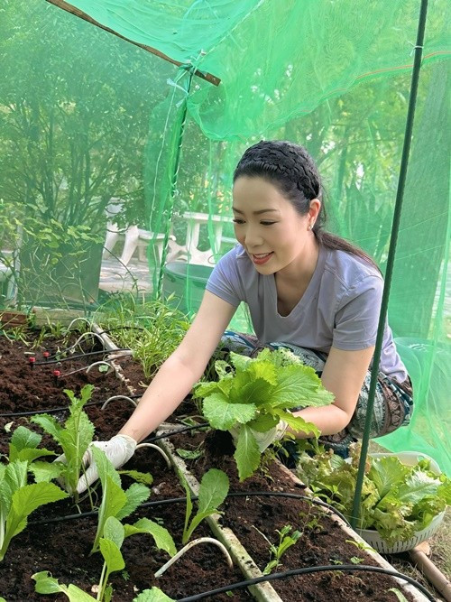 Ở biệt thự 10 tỷ, Trịnh Kim Chi tận dụng không gian trống để trồng nhiều loại cây trái. Nhiều lần, trên trang cá nhân, cô khoe thu hoạch rau củ quả từ vườn nhà. Ảnh: FB Trịnh Kim Chi.