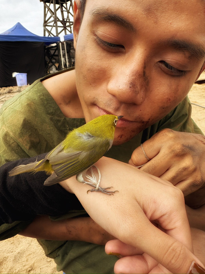 Trên màn ảnh, chú chim vành khuyên xuất hiện trong một số khung cảnh bên nhân vật Tú. Ảnh: FB Đình Khang.