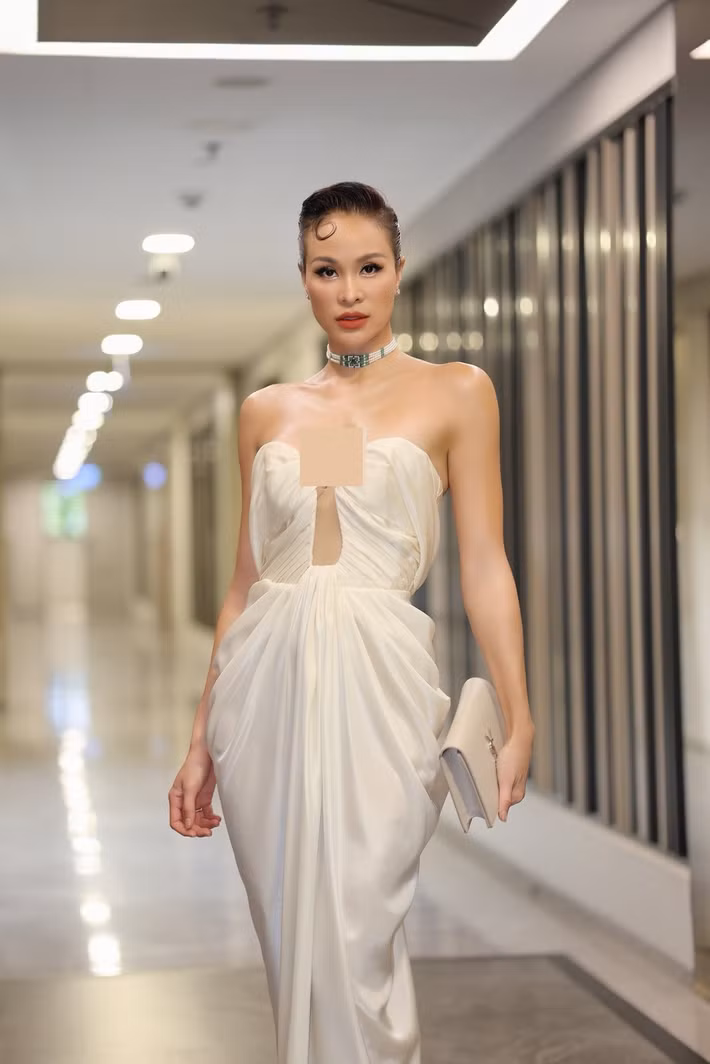 Phương Mai khởi đầu sự nghiệp với vai trò người mẫu. Theo Vietnamnet, cô đoạt các thành tích: Giải vàng Siêu mẫu Việt Nam 2012, top 15 Hoa hậu Thế giới người Việt 2010, top 10 Siêu mẫu châu Á 2009.