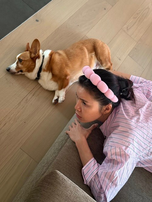 Theo Tiền Phong, chú chó Bảnh Tỏn từng xuất hiện trong clip giới thiệu của Minh Tú gửi đến cuộc thi Miss Supranational 2018 . Ảnh: FB Minh Tú.