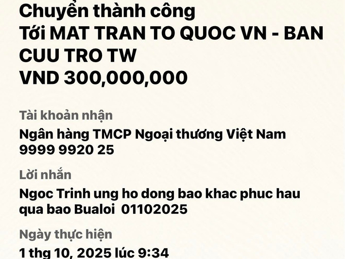 Ngọc Trinh cũng ủng hộ 300 triệu đồng cho bà con vùng lũ khắc phục hậu quả thiên tai. Ảnh: FB Ngọc Trinh.