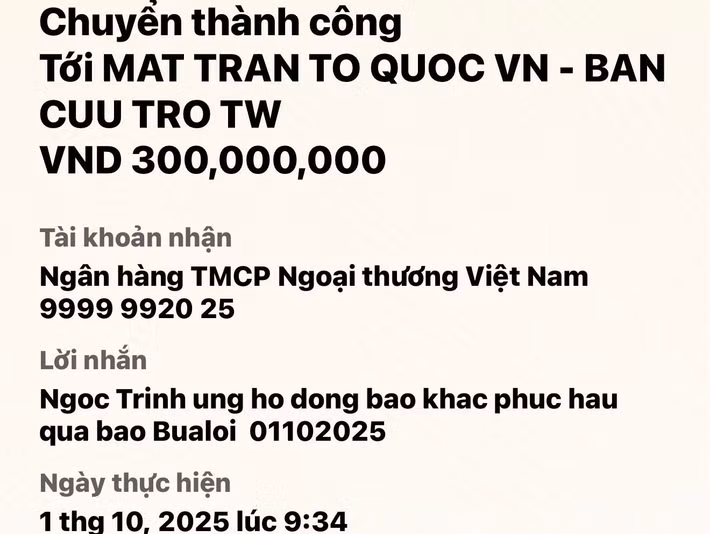 Ngọc Trinh cũng ủng hộ 300 triệu đồng cho bà con vùng lũ khắc phục hậu quả thiên tai. Ảnh: FB Ngọc Trinh.