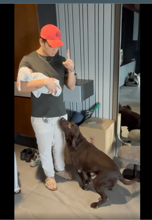 Huy Trần vừa chăm sóc con vừa đảm nhận công việc nấu nướng trong nhà. Ảnh: FB Ngô Thanh Vân.