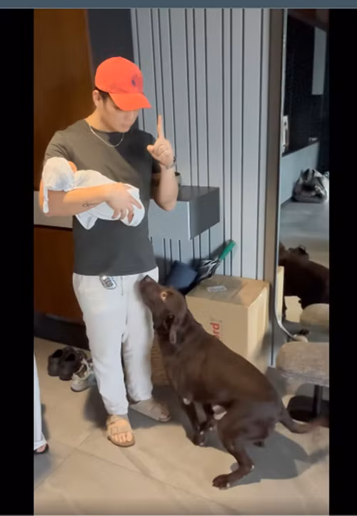 Huy Trần vừa chăm sóc con vừa đảm nhận công việc nấu nướng trong nhà. Ảnh: FB Ngô Thanh Vân.