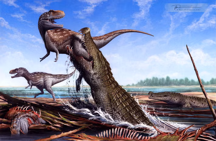 Các mẫu hóa thạch của loài cá sấu Deinosuchus schwimmeri được tìm thấy tại nhiều tiểu bang của Mỹ đã giúp các chuyên gia có nhiều thông tin về đặc điểm, thói quen, hành vi... của loài động vật khổng lồ này. Ảnh: Bob Nicholls.