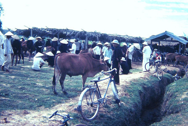 Dac biet cuoc song mien Trung nam 1967 qua ong kinh linh My-Hinh-9