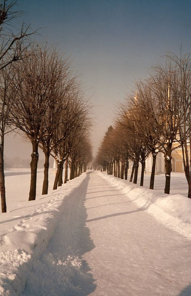 Loạt ảnh khó quên về mùa đông ở Moscow thập niên 1980 - Hình 6 Loat anh kho quen ve mua dong o Moscow thap nien 1980-Hinh-6