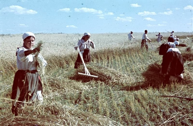 Cuộc sống ở Ukraine năm 1942 qua loạt ảnh màu cực hiếm - Hình 6 Cuoc song o Ukraine nam 1942 qua loat anh mau cuc hiem-Hinh-6