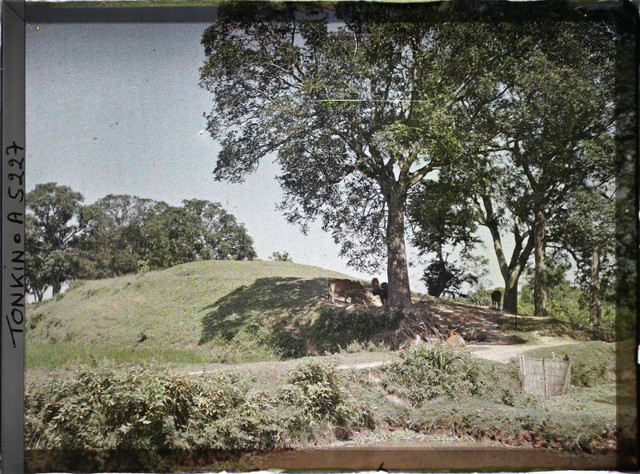 Ảnh màu cực dân dã ở ngoại thành Hà Nội đầu thế kỷ 20 - Hình 9 Anh mau cuc dan da o ngoai thanh Ha Noi dau the ky 20-Hinh-9