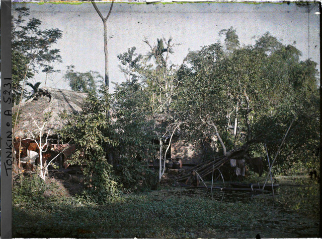 Ảnh màu cực dân dã ở ngoại thành Hà Nội đầu thế kỷ 20 - Hình 7 Anh mau cuc dan da o ngoai thanh Ha Noi dau the ky 20-Hinh-7