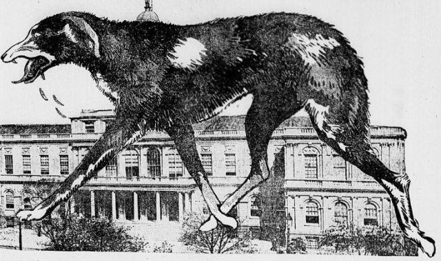 Ám ảnh dịch bệnh được ví như là 'lời nguyển của quỷ dữ' - Hình 4 Am anh dich benh duoc vi nhu la 'loi nguyen cua quy du'-Hinh-4