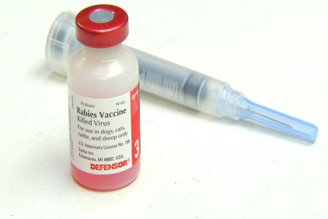 Ám ảnh dịch bệnh được ví như là 'lời nguyển của quỷ dữ' - Hình 9 Am anh dich benh duoc vi nhu la 'loi nguyen cua quy du'-Hinh-9