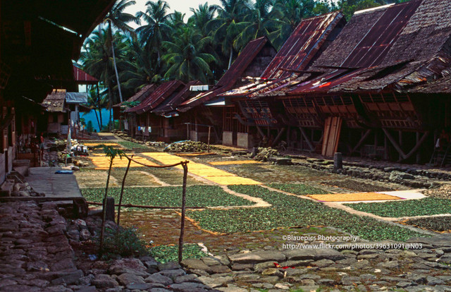 Loạt ảnh lôi cuốn về đảo Sumatra, Indonesia năm 1997 - Hình 10 Loat anh loi cuon ve dao Sumatra, Indonesia nam 1997-Hinh-10