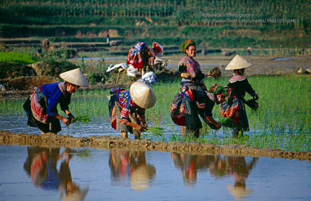 Loạt ảnh không thể rời mắt ở Lào Cai năm 1998 - Hình 8 Loat anh khong the roi mat o Lao Cai nam 1998-Hinh-8