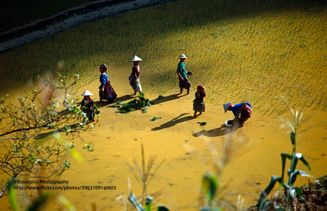 Loạt ảnh không thể rời mắt ở Lào Cai năm 1998 - Hình 14 Loat anh khong the roi mat o Lao Cai nam 1998-Hinh-14