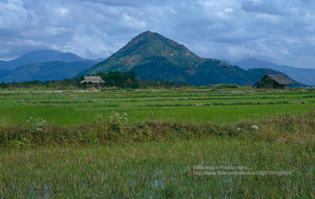 Phan Rang và Nha Trang năm 1993 cực thơ mộng qua ống kính khách Đức Phan Rang va Nha Trang nam 1993 cuc tho mong qua ong kinh khach Duc