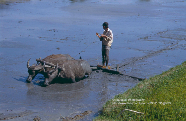 Phan Rang và Nha Trang năm 1993 cực thơ mộng qua ống kính khách Đức - Hình 5 Phan Rang va Nha Trang nam 1993 cuc tho mong qua ong kinh khach Duc-Hinh-5