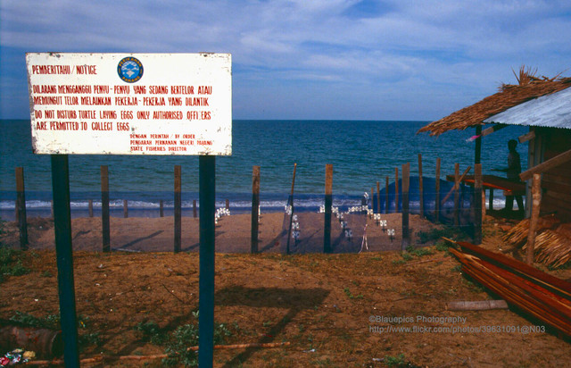 Ngam dat nuoc Malaysia nam 1991 cuc hap dan-Hinh-9