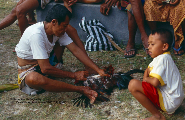 Thiên đường du lịch Bali vô cùng độc đáo năm 1991 - Hình 11 Thien duong du lich Bali vo cung doc dao nam 1991-Hinh-11