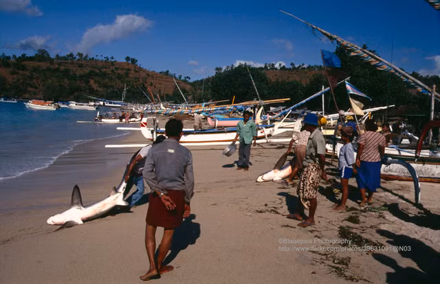 Thien duong du lich Bali vo cung doc dao nam 1991-Hinh-2