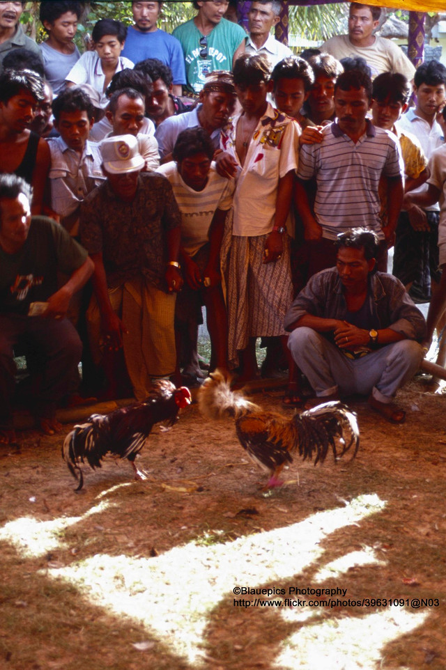 Thiên đường du lịch Bali vô cùng độc đáo năm 1991 - Hình 10 Thien duong du lich Bali vo cung doc dao nam 1991-Hinh-10