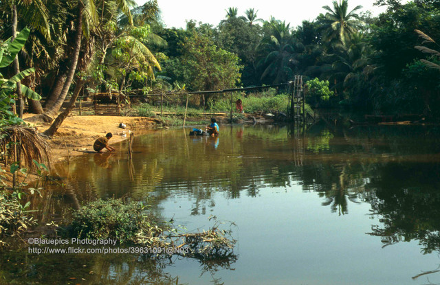 Cuộc sống trên biển hồ ở Campuchia năm 1993 - Hình 10 Cuoc song tren bien ho o Campuchia nam 1993-Hinh-10