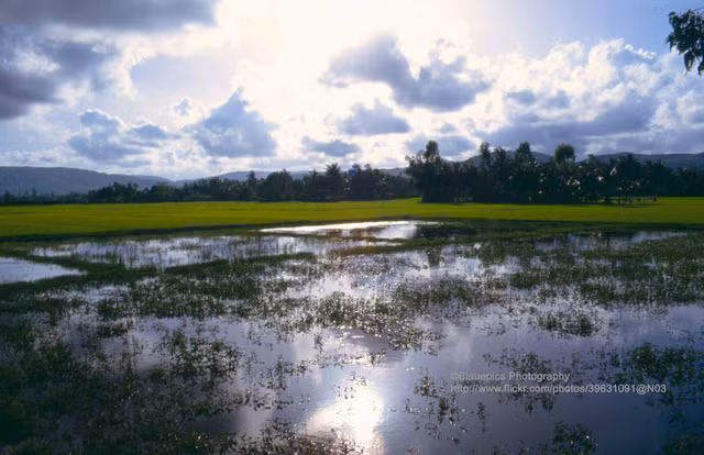 Loat anh ghi lai hanh trinh tu Nha Trang di Hue nam 1993 cua khach Tay-Hinh-12