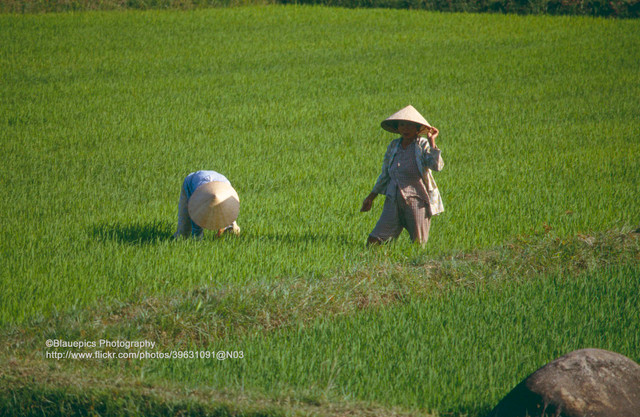 Loạt ảnh ghi lại hành trình từ Nha Trang đi Huế năm 1993 của khách Tây - Hình 9 Loat anh ghi lai hanh trinh tu Nha Trang di Hue nam 1993 cua khach Tay-Hinh-9