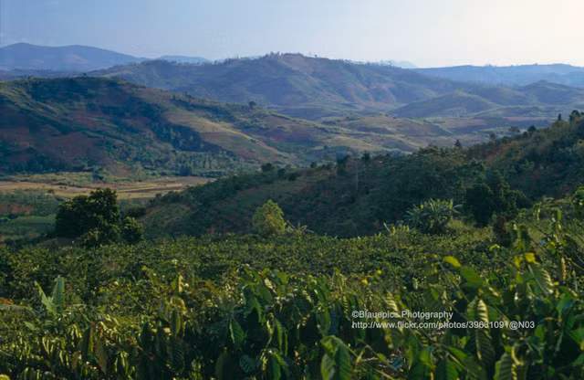 Hanh trinh TPHCM len Da Lat cuc doc la nam 1993-Hinh-4