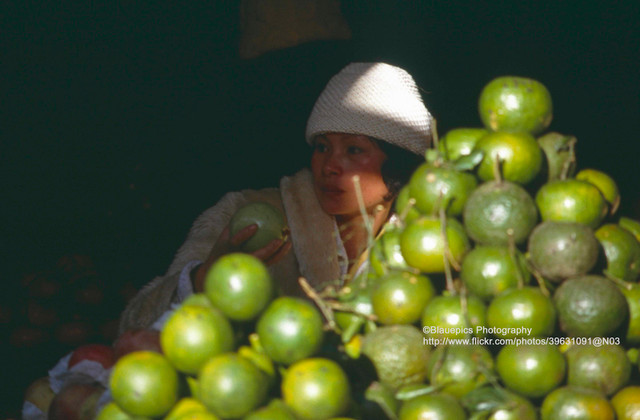 Hành trình TPHCM lên Đà Lạt cực độc lạ năm 1993 - Hình 13 Hanh trinh TPHCM len Da Lat cuc doc la nam 1993-Hinh-13
