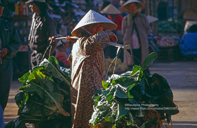 Hành trình TPHCM lên Đà Lạt cực độc lạ năm 1993 - Hình 12 Hanh trinh TPHCM len Da Lat cuc doc la nam 1993-Hinh-12