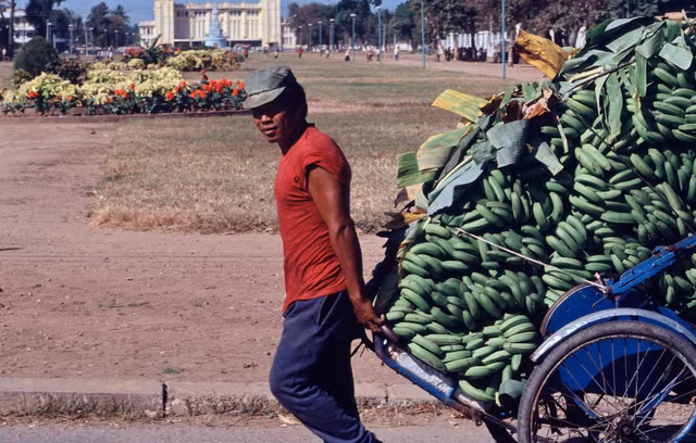 Loat anh sinh dong ve dat nuoc Campuchia nam 1990-Hinh-5