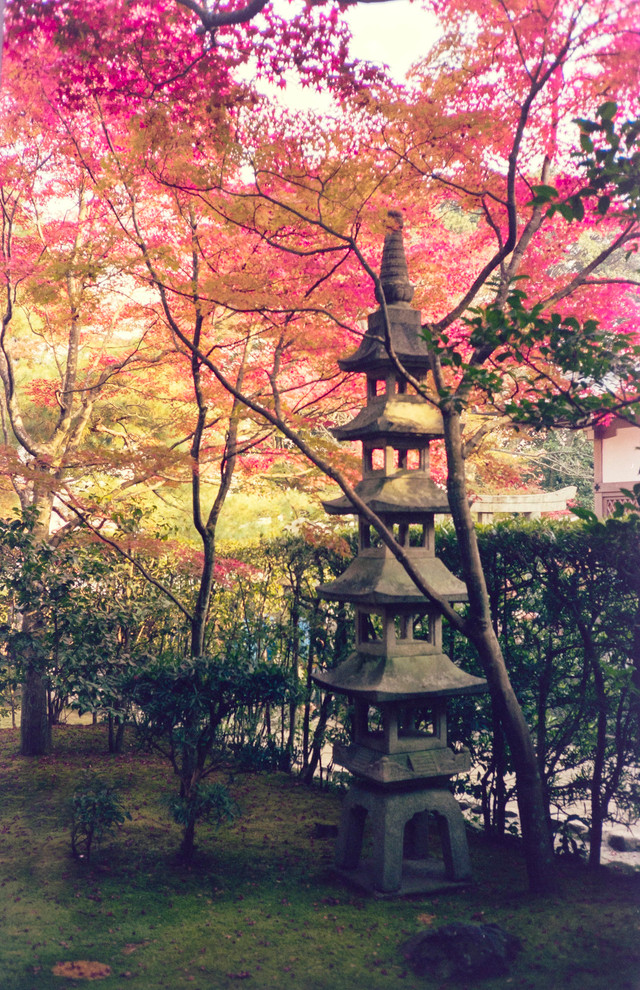 Khoảnh khắc mùa thu tuyệt đẹp ở Kyoto năm 1990 - Hình 8 Khoanh khac mua thu tuyet dep o Kyoto nam 1990-Hinh-8