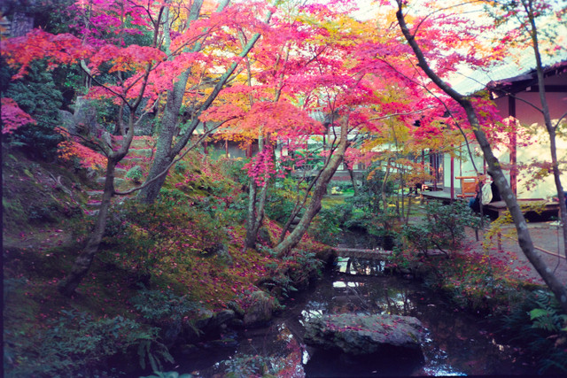 Khoảnh khắc mùa thu tuyệt đẹp ở Kyoto năm 1990 - Hình 10 Khoanh khac mua thu tuyet dep o Kyoto nam 1990-Hinh-10