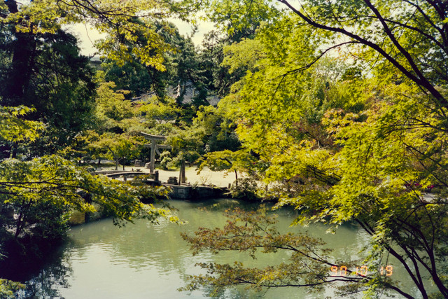 Khoảnh khắc mùa thu tuyệt đẹp ở Kyoto năm 1990 - Hình 6 Khoanh khac mua thu tuyet dep o Kyoto nam 1990-Hinh-6